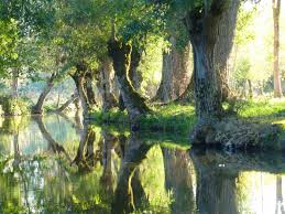 le marais poitevin.jpg